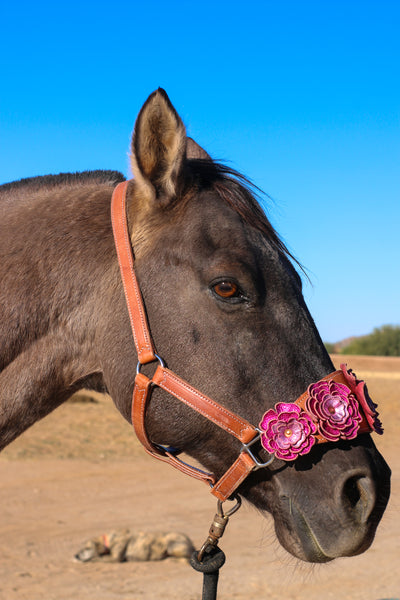 Floral Bronc Halter