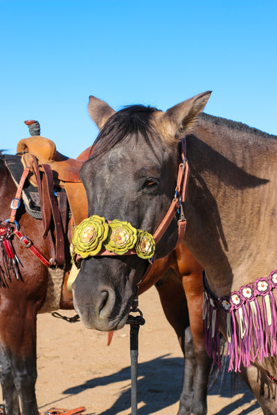 Floral Bronc Halter